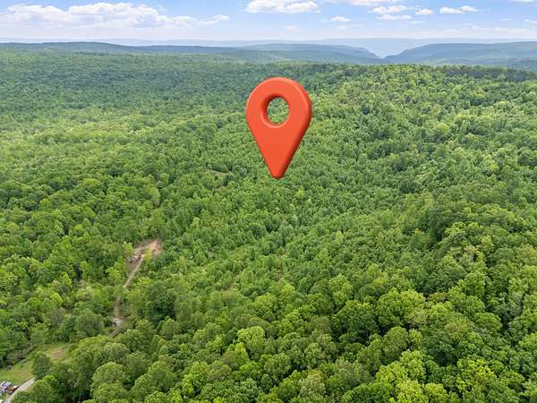 30 Acres of Land for Sale in Palmer, Tennessee