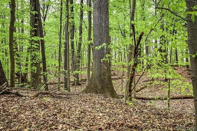 32.3 Acres of Recreational & Residential Land for Sale in Ortonville, Michigan