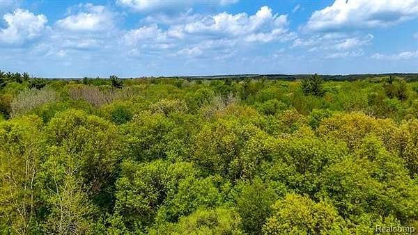 32.3 Acres of Recreational Land for Sale in Ortonville, Michigan
