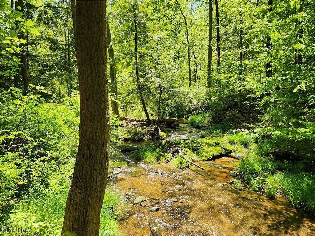 5.4 Acres of Land for Sale in Painesville Township, Ohio