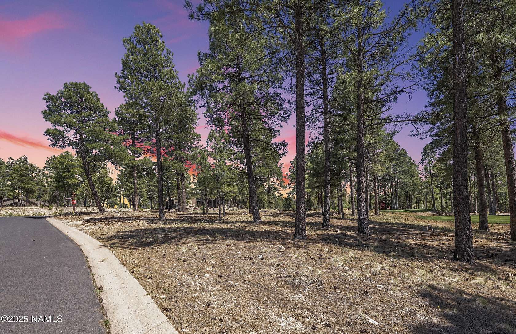 0.47 Acres of Residential Land for Sale in Flagstaff, Arizona
