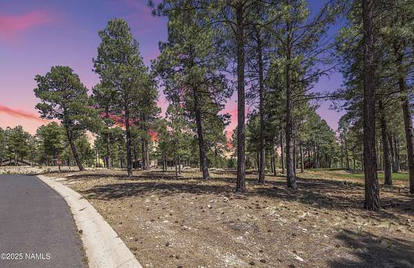 0.47 Acres of Residential Land for Sale in Flagstaff, Arizona