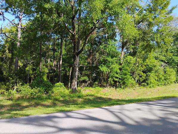 0.42 Acres of Residential Land for Sale in Williston, Florida