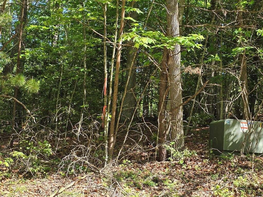 1 Acre of Land for Sale in Young Harris, Georgia