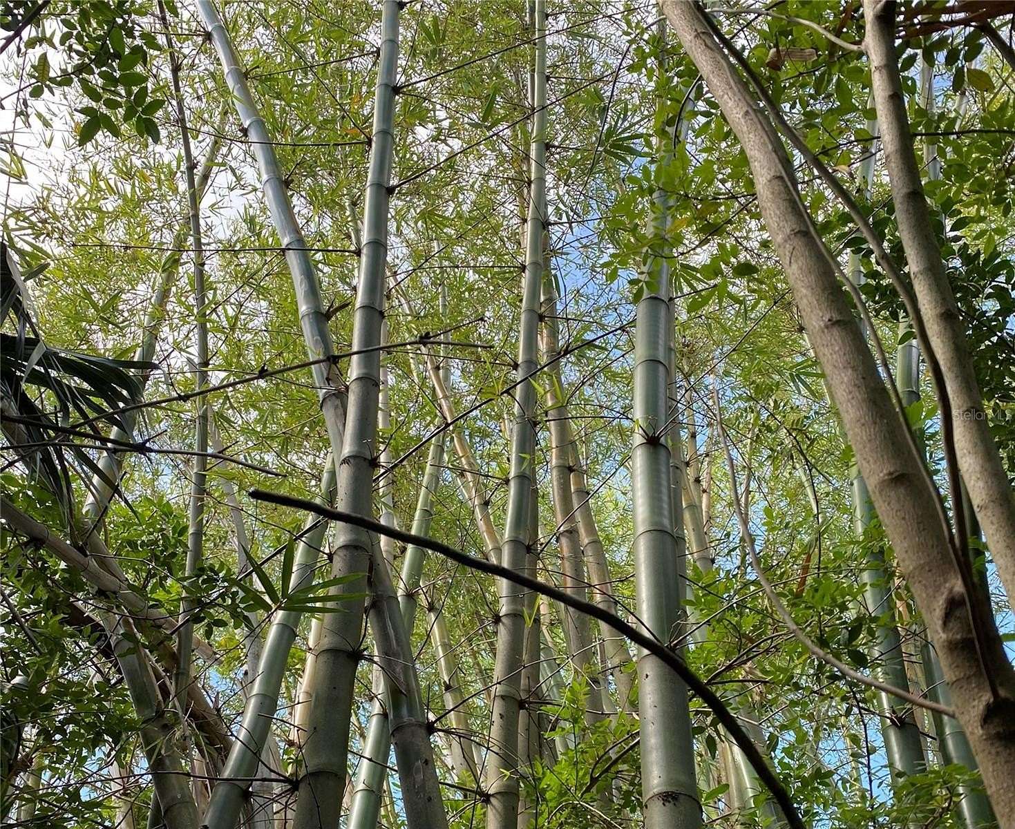 0.22 Acres of Residential Land for Sale in Punta Gorda, Florida