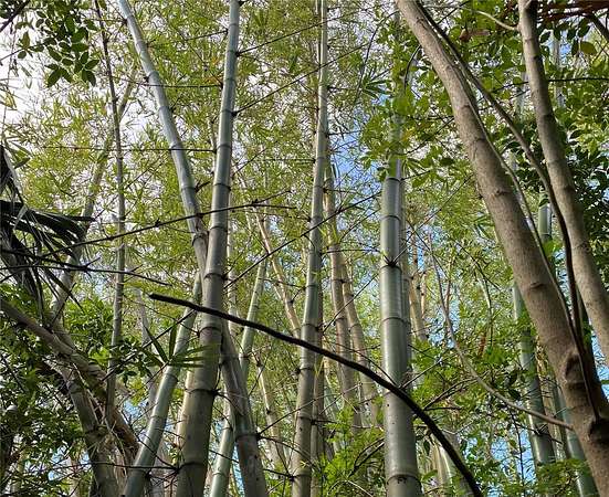 0.22 Acres of Residential Land for Sale in Punta Gorda, Florida