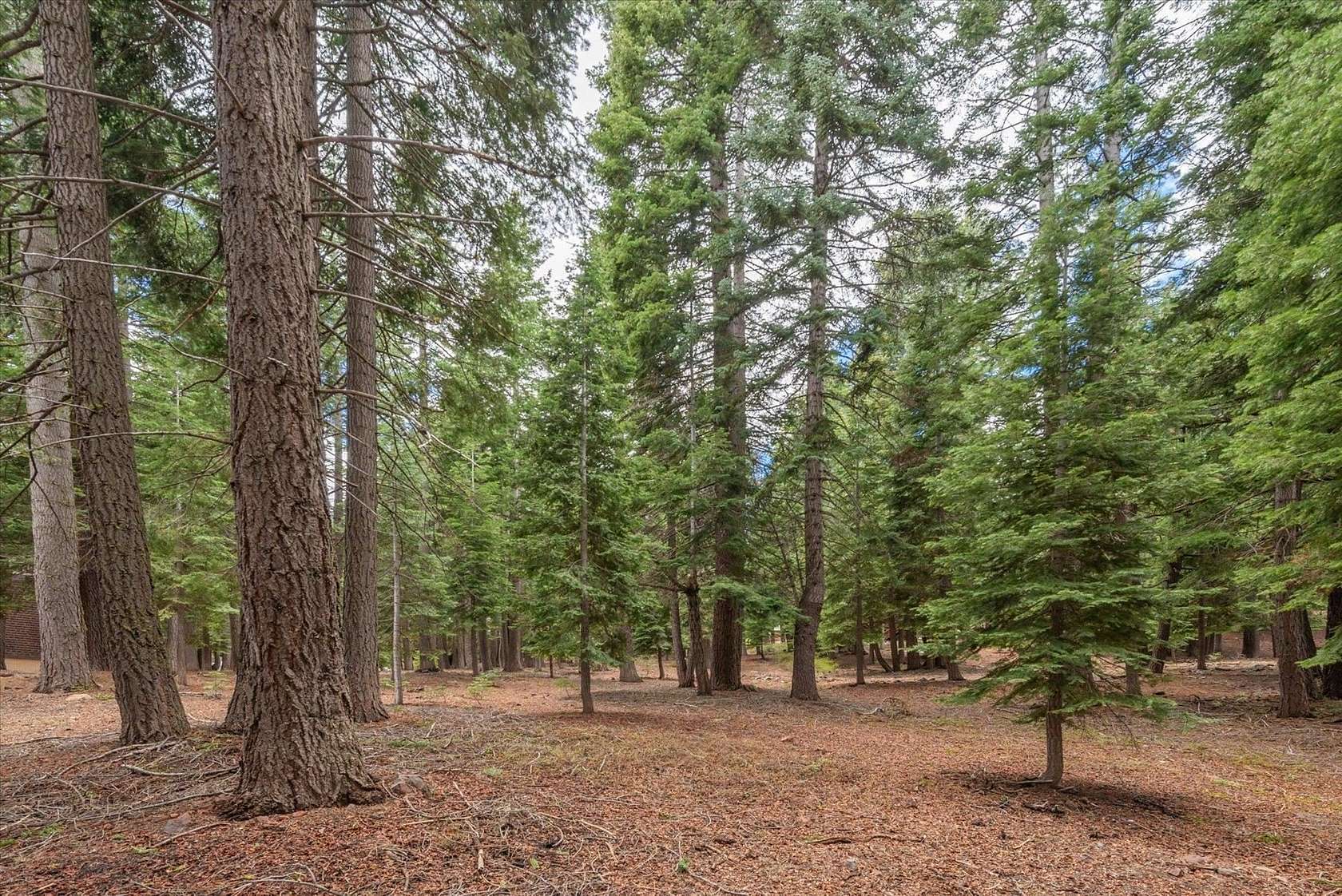 0.29 Acres of Residential Land for Sale in Truckee, California