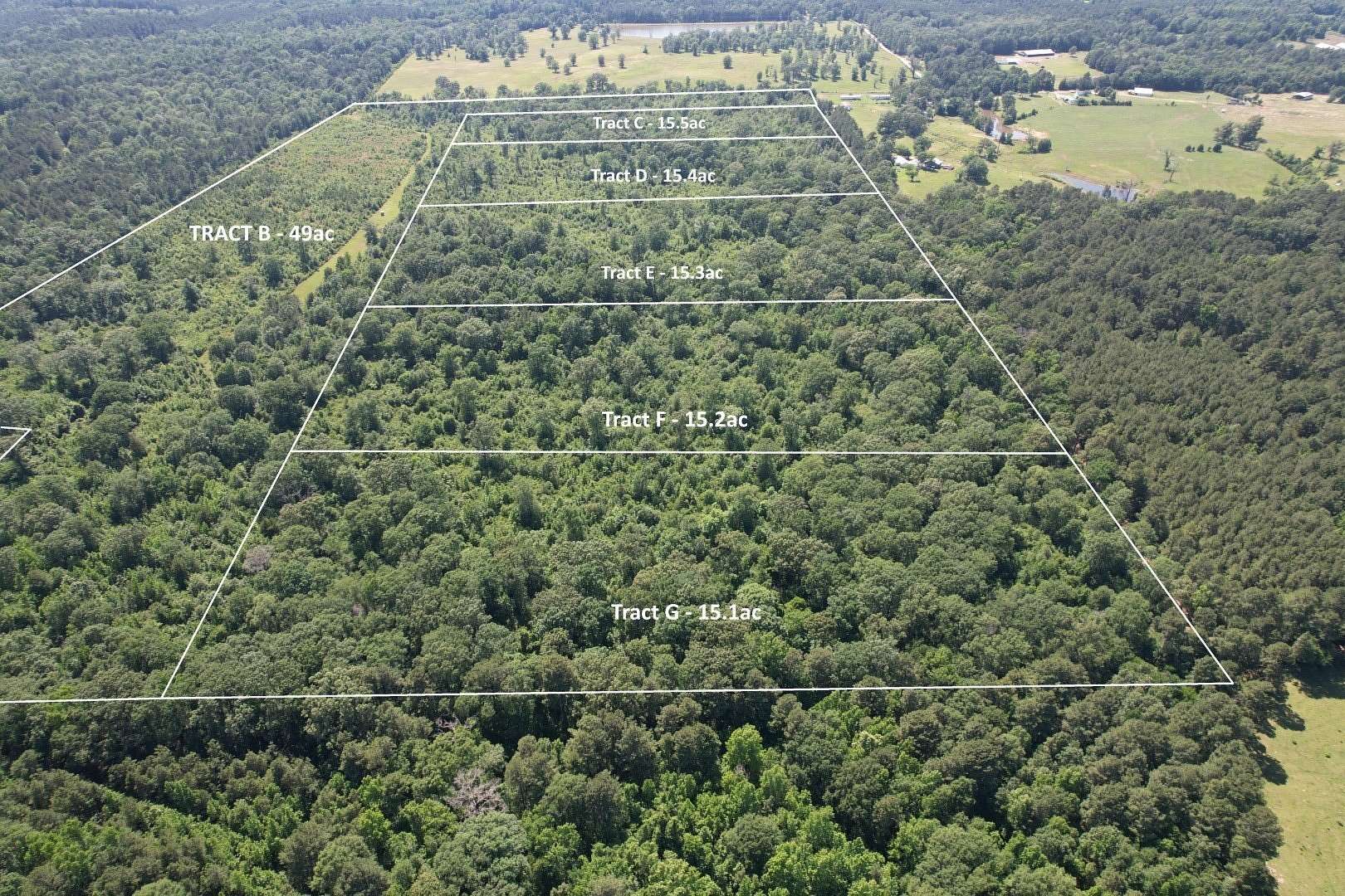 15.3 Acres of Recreational Land for Sale in Timpson, Texas