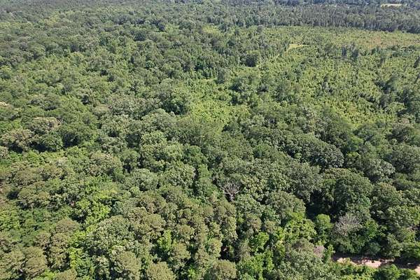 15.3 Acres of Recreational Land & Farm for Sale in Timpson, Texas