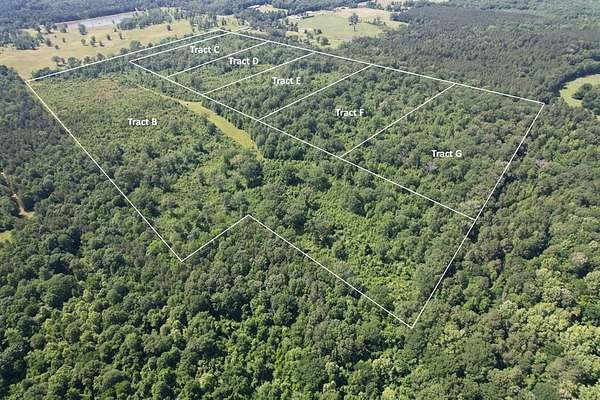 15.2 Acres of Recreational Land & Farm for Sale in Timpson, Texas