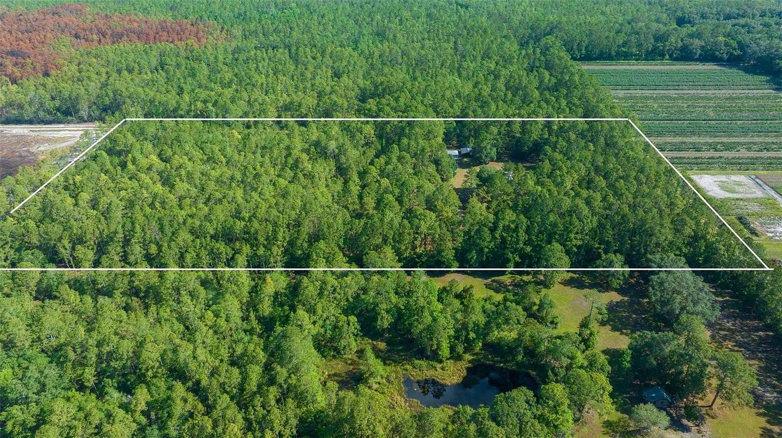 20 Acres of Land with Home for Sale in Silver Springs, Florida
