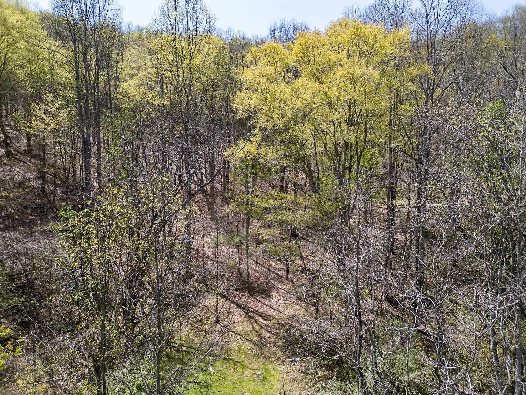 40.5 Acres of Land for Sale in Hamlin, West Virginia