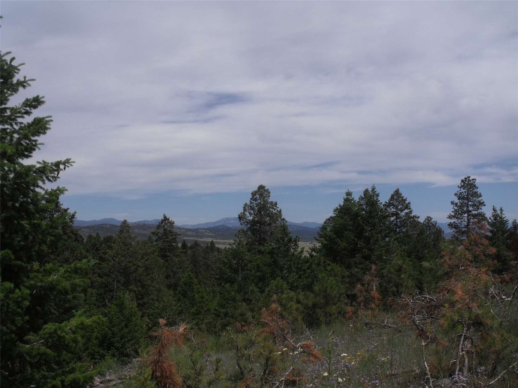 38.5 Acres of Land for Sale in Helena, Montana