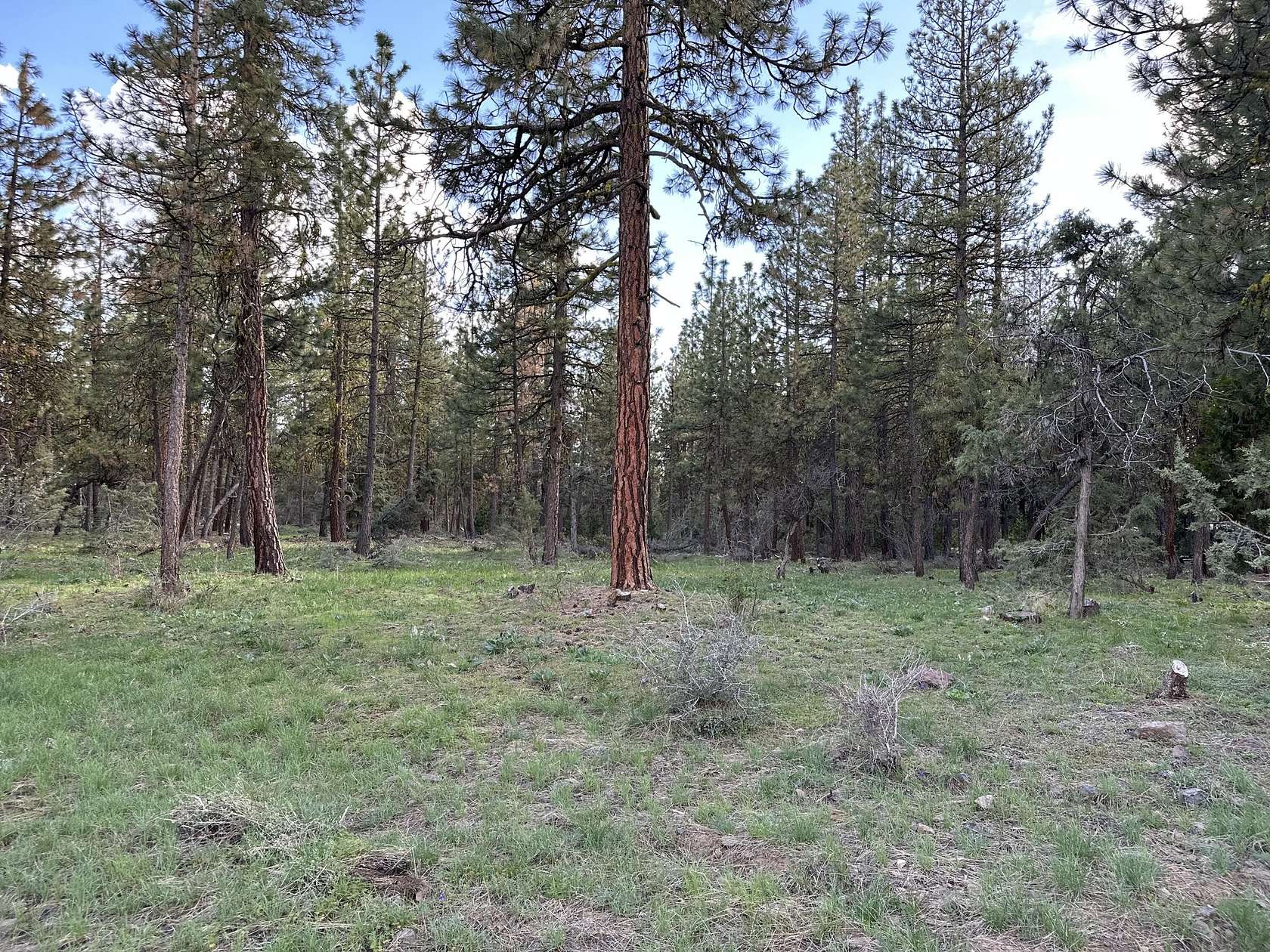 2.28 Acres of Residential Land for Sale in Bonanza, Oregon