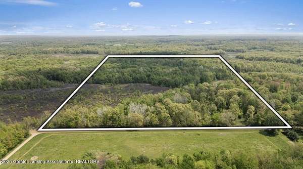 81 Acres of Recreational Land for Sale in Gobles, Michigan