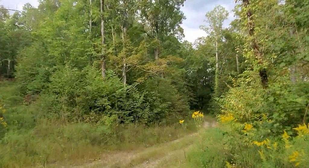 51.6 Acres of Recreational Land for Sale in Jamestown, Tennessee