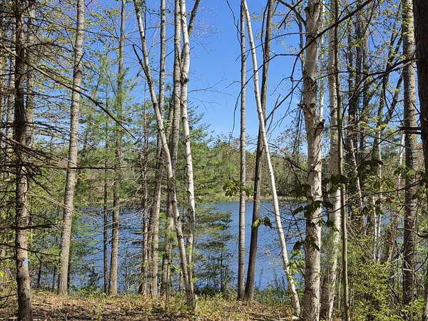 3 Acres of Land for Sale in Fairview, Michigan