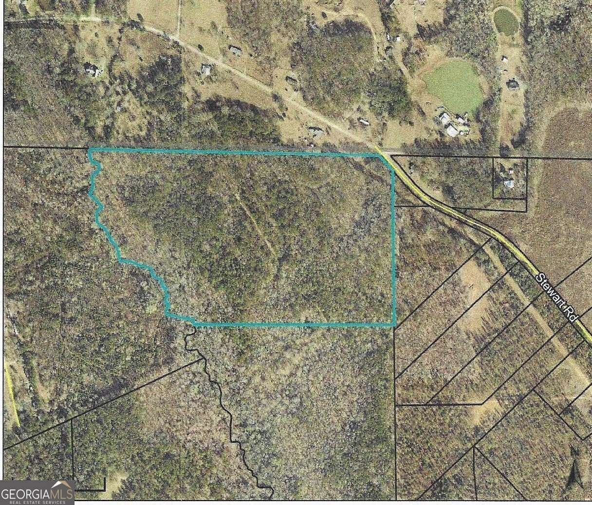 41.3 Acres of Recreational Land for Sale in Meansville, Georgia