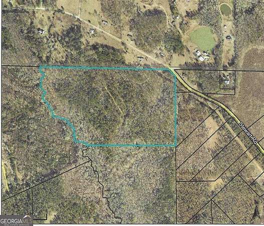 41.3 Acres of Recreational Land for Sale in Meansville, Georgia