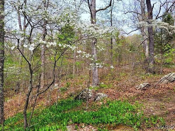 80 Acres of Improved Land for Sale in Cuba, Missouri