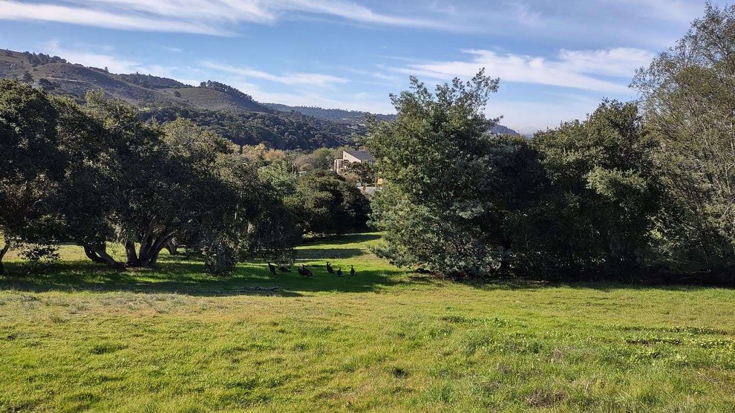 1.59 Acres of Commercial Land for Sale in Monterey, California