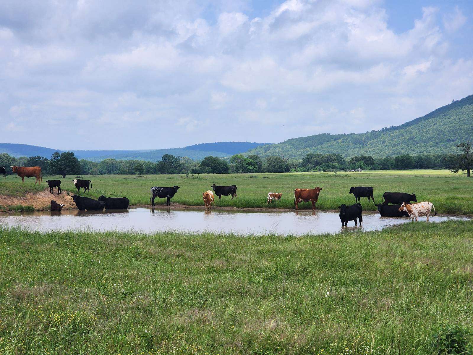 965 Acres of Land with Home for Sale in Talihina, Oklahoma