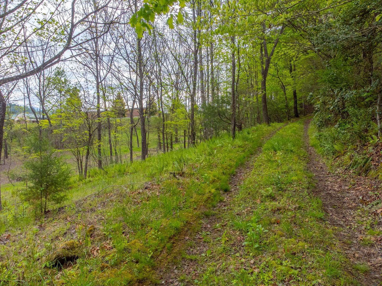 56.5 Acres of Land for Sale in Franklin, North Carolina