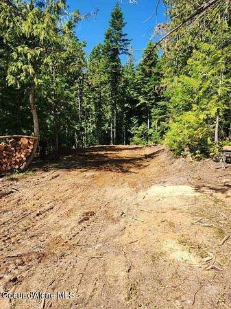 5 Acres of Residential Land for Sale in St. Maries, Idaho