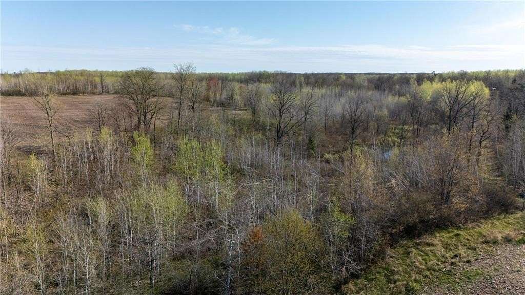 60 Acres of Land for Sale in Danforth Township, Minnesota