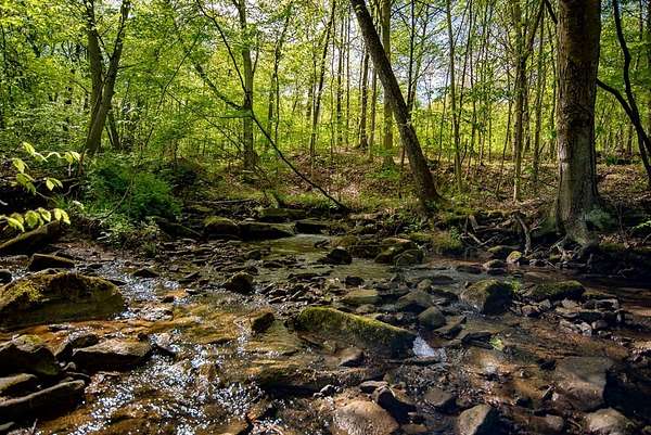 106 Acres of Land for Sale in Parker, Pennsylvania
