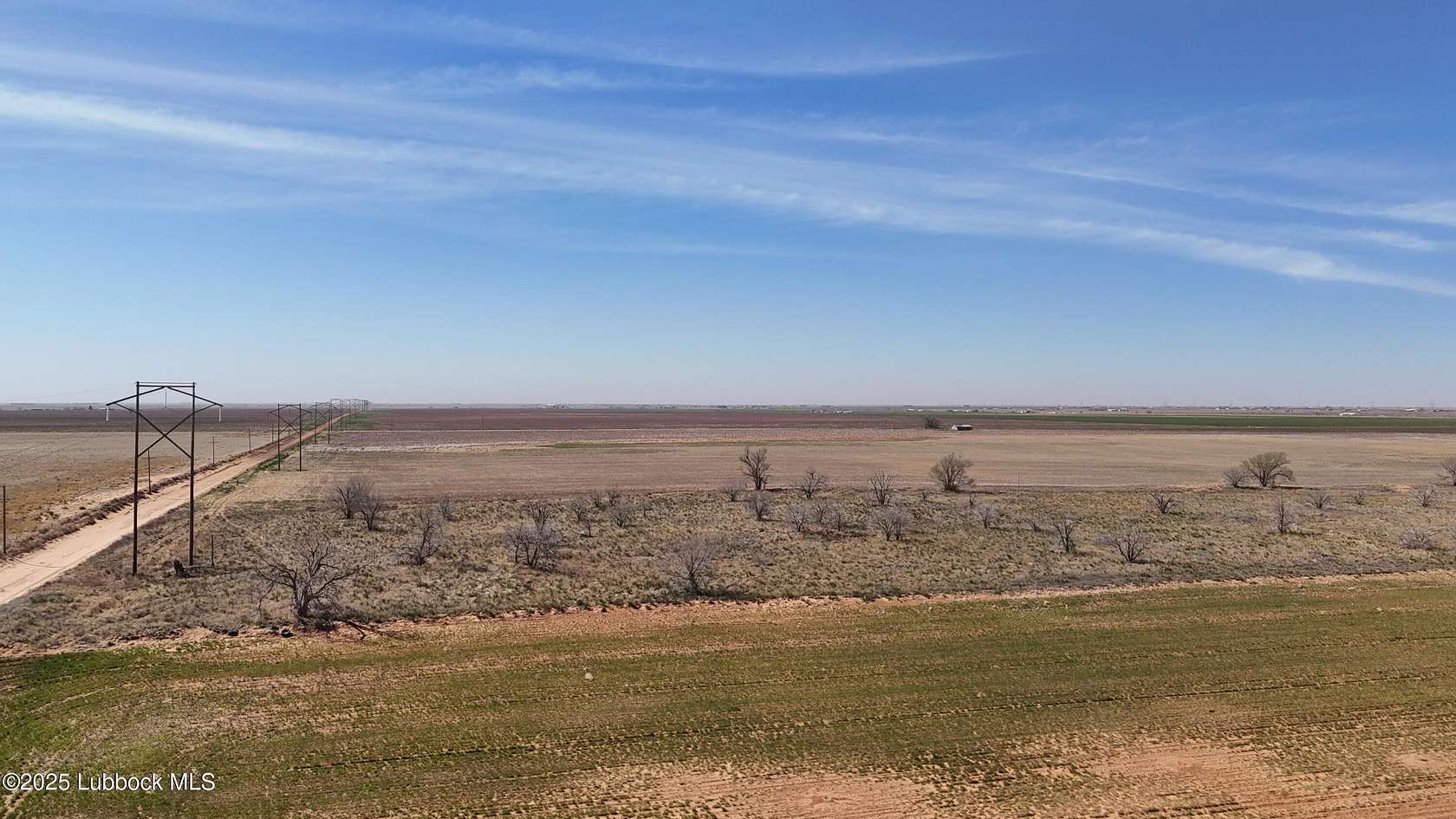 Land for Sale in Shallowater, Texas