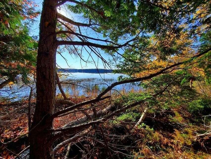 38 Acres of Recreational Land for Sale in Princeton, Maine