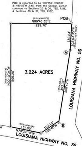 3.22 Acres of Commercial Land for Lease in Abita Springs, Louisiana