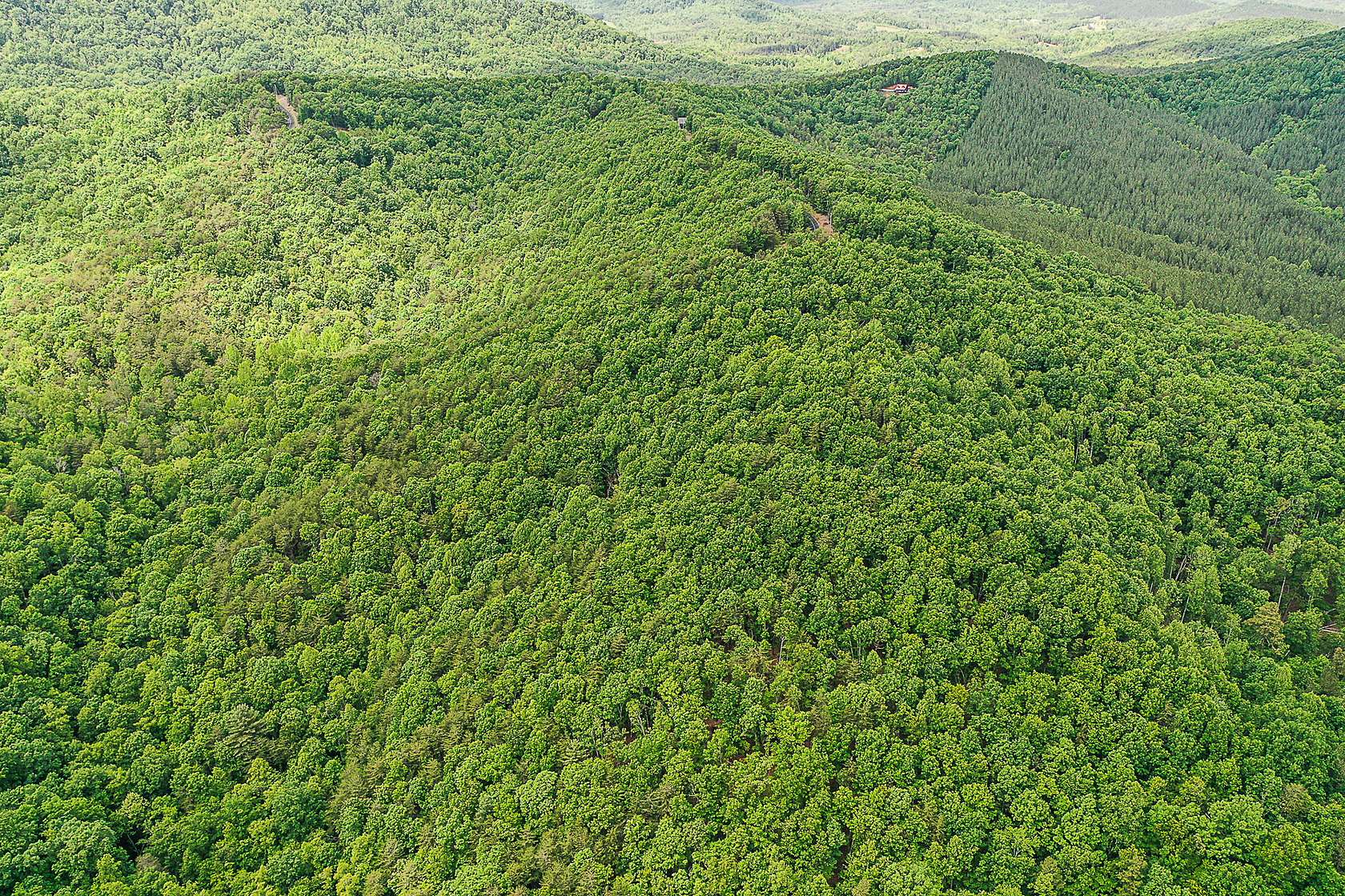 45.7 Acres of Land for Sale in Bostic, North Carolina