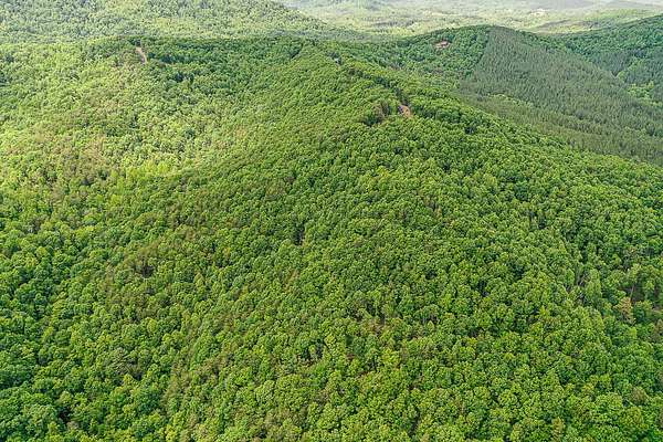 45.7 Acres of Land for Sale in Bostic, North Carolina