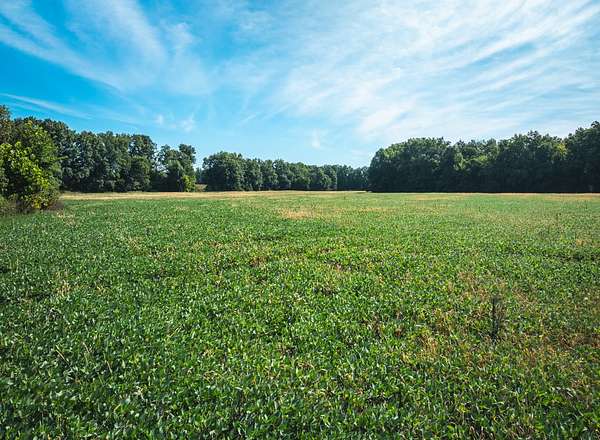 25 Acres of Recreational Land & Farm for Sale in Huntsville, Missouri