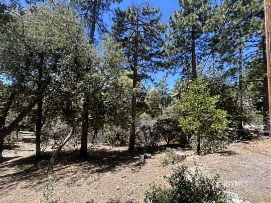 0.32 Acres of Land for Sale in Idyllwild, California