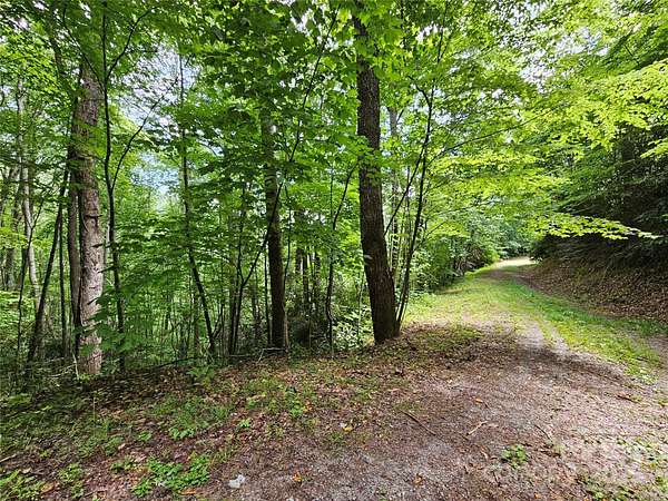 5 Acres of Land for Sale in Waynesville, North Carolina
