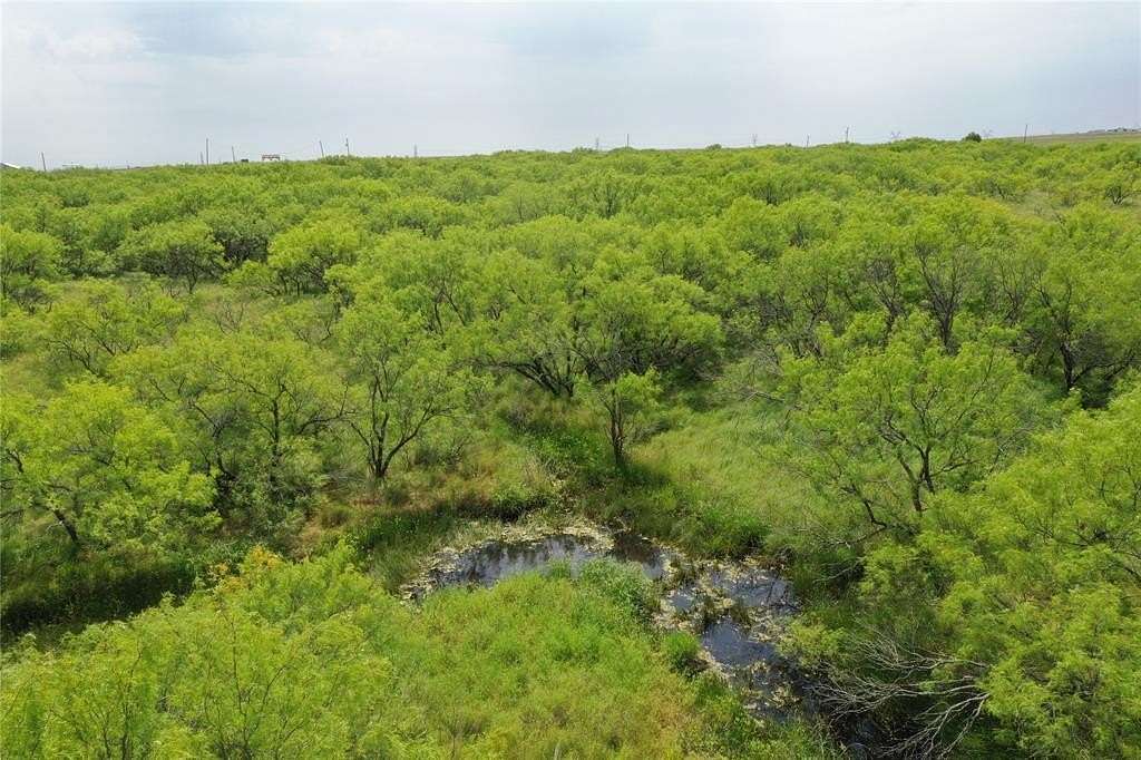 31.7 Acres of Land for Sale in Bellevue, Texas