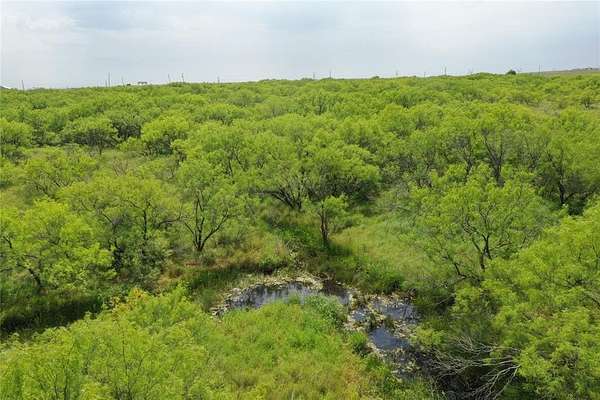 31.7 Acres of Land for Sale in Bellevue, Texas