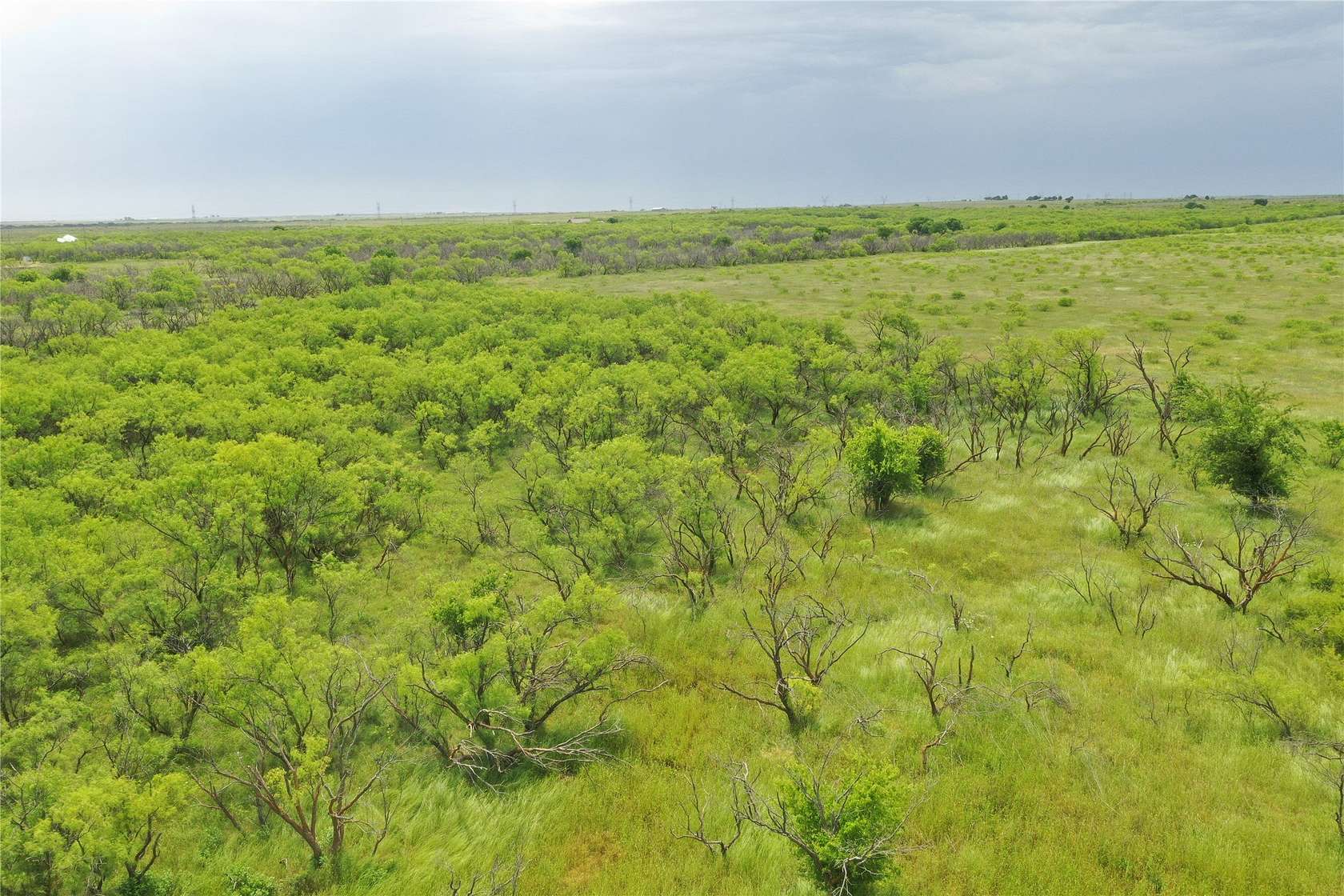 31.8 Acres of Recreational & Residential Land for Sale in Bellevue, Texas