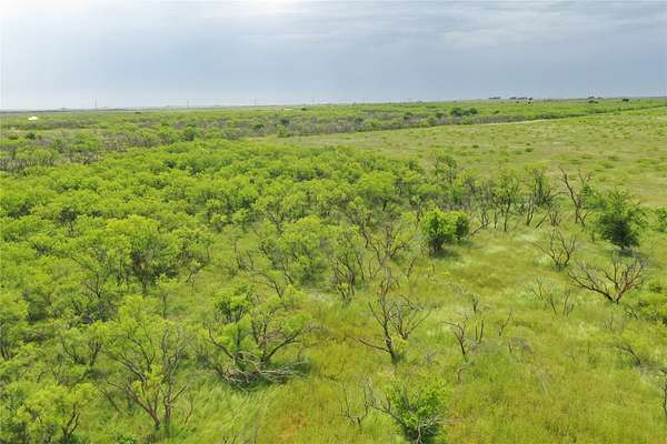 31.8 Acres of Recreational & Residential Land for Sale in Bellevue, Texas