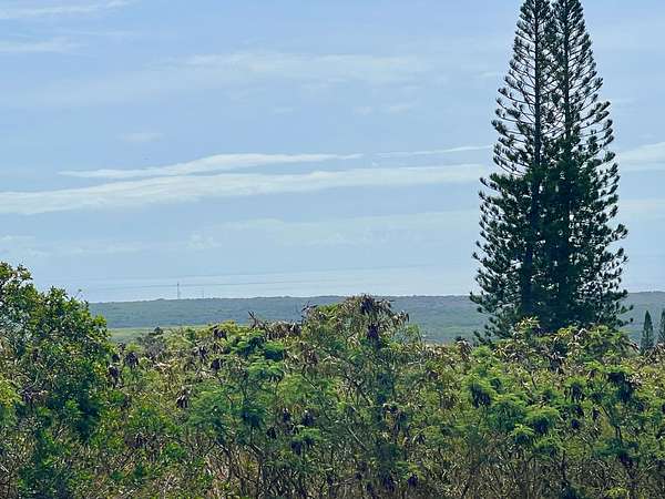 0.32 Acres of Residential Land for Sale in Nāʻālehu, Hawaii
