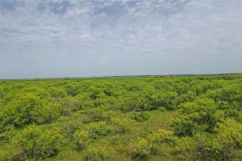 31.8 Acres of Land for Sale in Bellevue, Texas