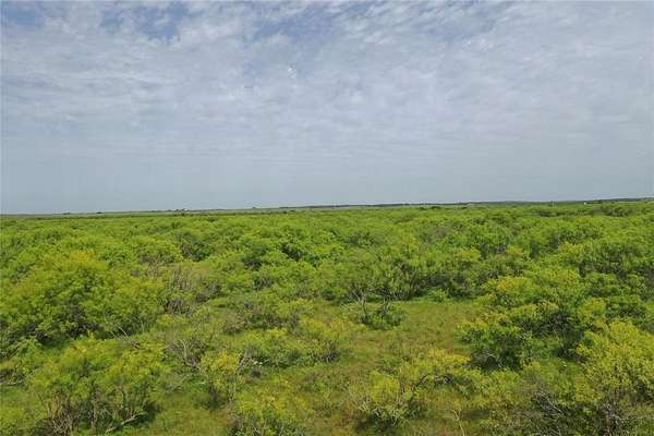 31.8 Acres of Land for Sale in Bellevue, Texas