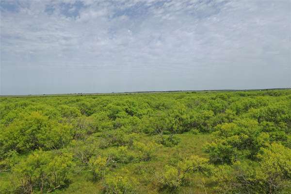 31.8 Acres of Recreational & Residential Land for Sale in Bellevue, Texas