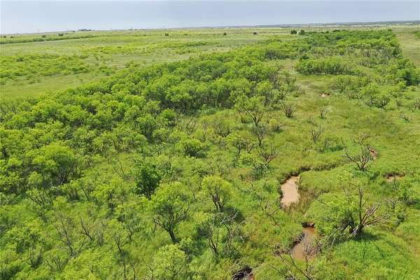 47.8 Acres of Land for Sale in Bellevue, Texas