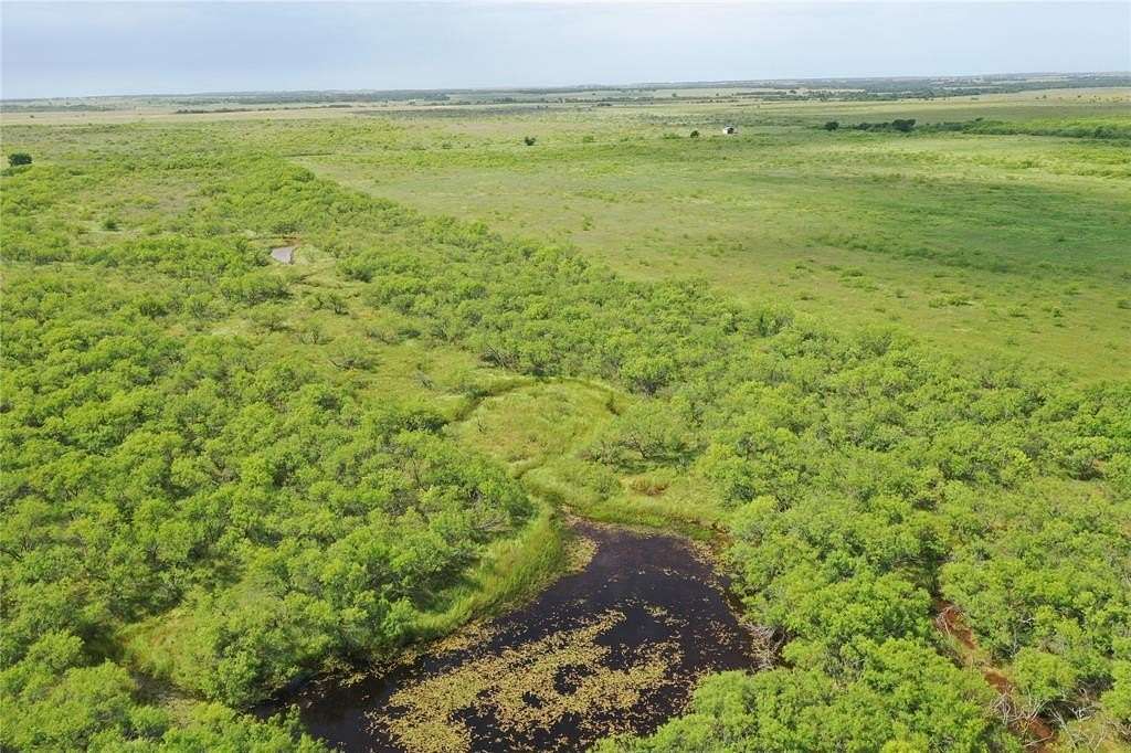 47.8 Acres of Land for Sale in Bellevue, Texas