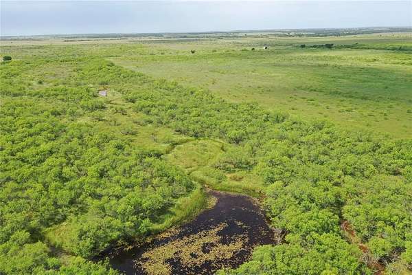 47.8 Acres of Land for Sale in Bellevue, Texas