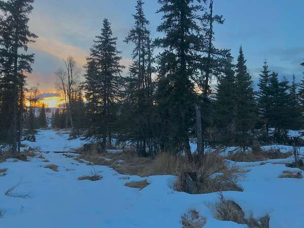 35.4 Acres of Recreational Land for Sale in Ninilchik, Alaska